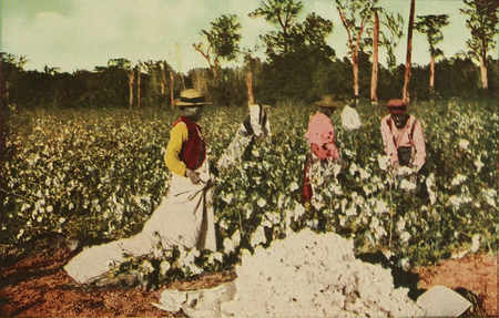 Trabalhadores afro-americanos colhendo algodão em Houston, EUA, 1913. A escravidão no plantio de culturas como esta ajudaram a financiar a revolução industrial.