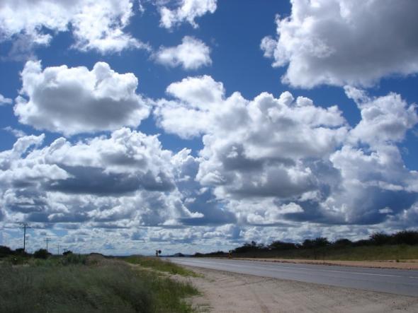 fotografia de Rute Magalhães 