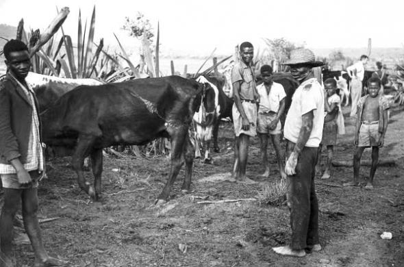 Azorian  colonial settlement,  Catofe  (Cuanza Sul, Angola)  1960  