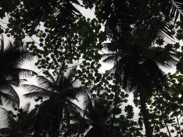 fotografia de S.Tomé, de Marta Lança 