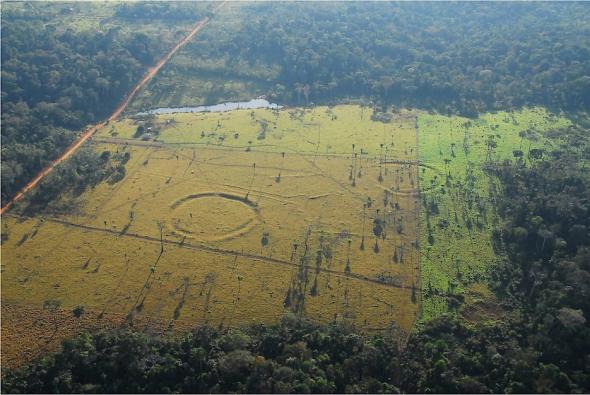 Geoglifos com 1000 e 2000 anos foram descobertos na região amazónica do Pará (Brasil) desde dos anos de 1970, como resultado do aumento da desflorestação. 