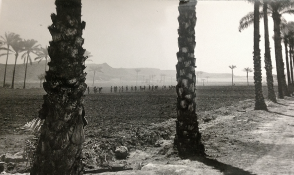 Campo de Trabalho, Recuperação de São Nicolau