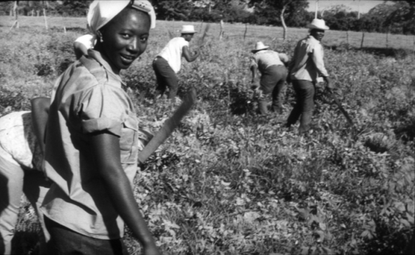 Voluntary work by Guinean students and camera exercise in Cuba, Dervis Espinosa, Cuba, INCA, 1967