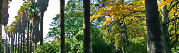 Jardim botânico tropical, Lisboa