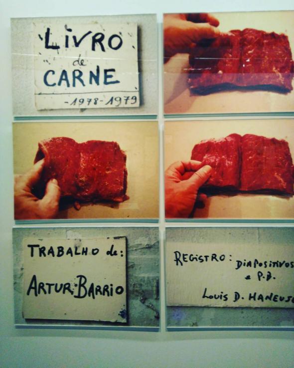 Livro de Carne (1977-78), de Artur Barrio.