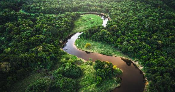 Os rios da Amazónia, no Caminho da Anaconda. Fonte - El Campesino