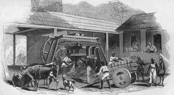 Plantation workers carry sugar cane into a mill for processing, Brazil, 1845 [Hulton Archive/Getty Images]