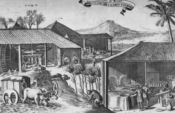 Sugar cane is processed at a factory in Brazil, circa 1700. An illustration from ‘Les Indes Orientales et Occidentales, et Autres Lieux’ by Romeyn de Hooghe [Hulton Archive/Getty Images]