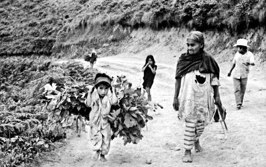 Durante muitos anos, a curandeira vendeu mercadoria nas aldeias à volta de Huautla