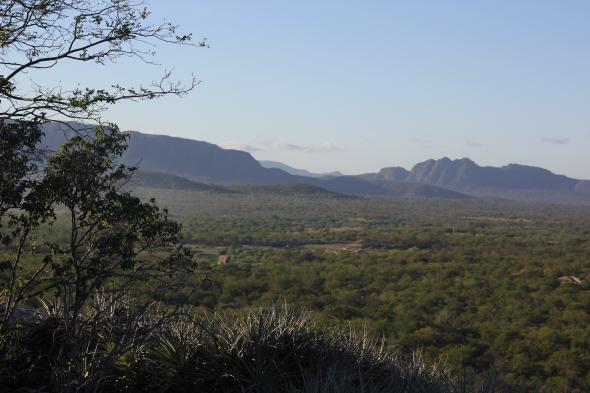 Fig.3 Território do quilombo de Conceição das Crioulas, Brasil. Rita Rainho 2019.