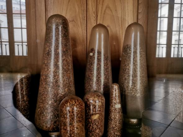 Flasks with samples of coffee beans (UC Science Museum)