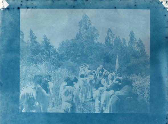 Camp in gas - Bajouca - julho 2019