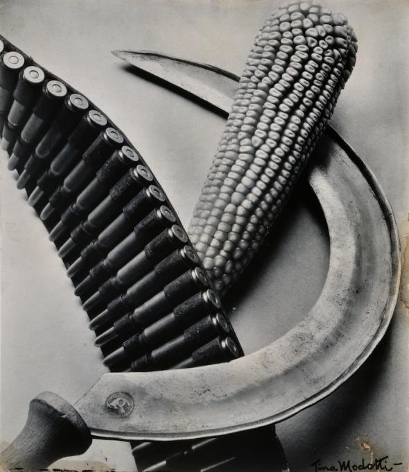 Foice, cinta de cartuxo e espiga, Tina Modotti, 1928 (Coleção Manuel Álvarez Bravo)