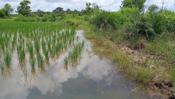 fronteiras mistas (Malafo), foto de Marinho Pina