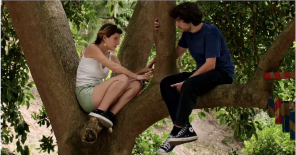 cena de 'A Vida Luminosa', João Rosas, Midas filmes