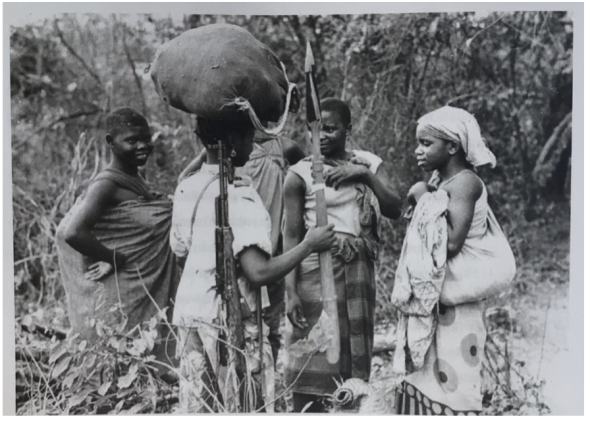 Arquivos da FRELIMO (Frente de Libertação de Moçambique) 