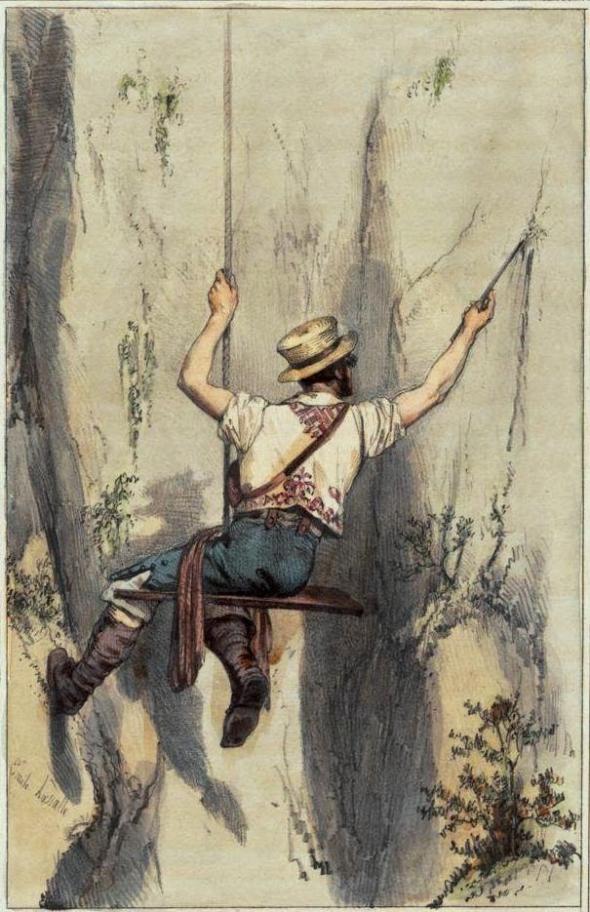 Canárias orchillero