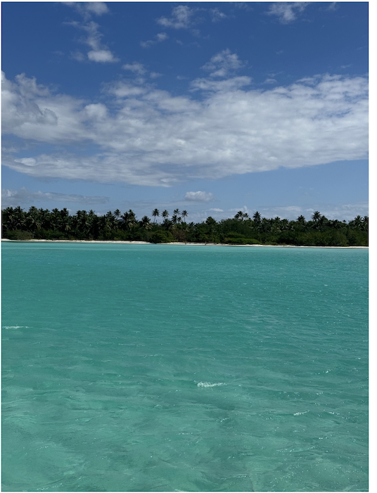 Isla Saona, Dominican Republic