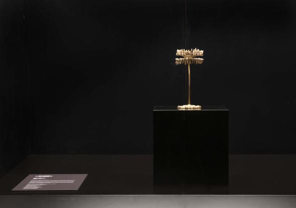 Glenda Zapata, Mandíbula.