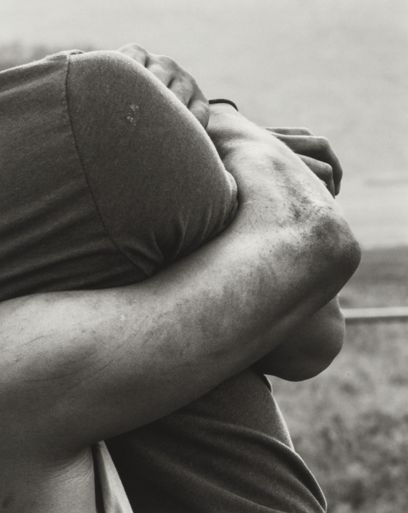 Sam Contis, Embrace, 2015