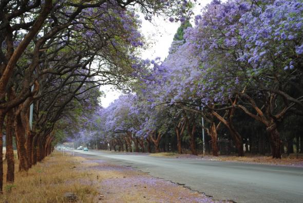 Harare, fotografia de Gonçalo Antunes