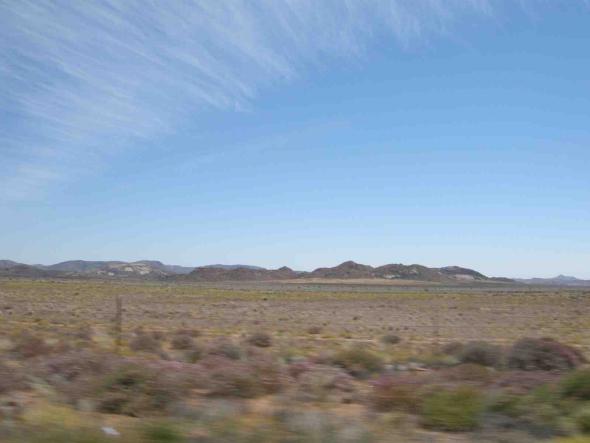 Kalahari, fotografia de Marta Lança 