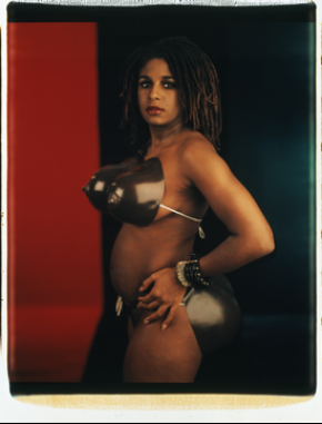 Lyle Ashioton. Harris Venus Hottentot, 2000.