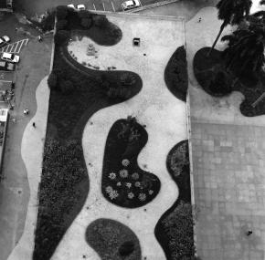 Burle Marx