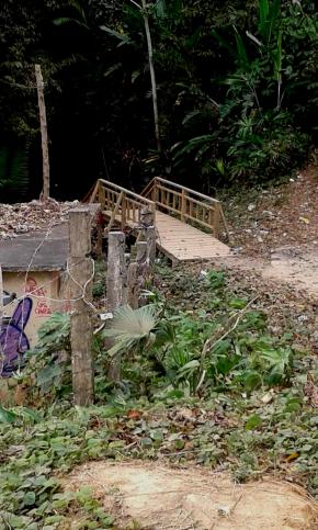 Arelis Sarret - A entrada da selva do Darién