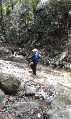 Arelis Sarret - A selva é um labirinto de rios e vegetação densa.