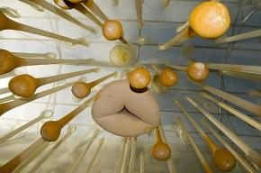 Instalação de Ernesto Neto