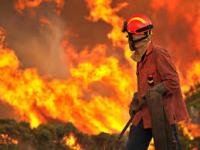 Incêndios florestais, causas e consequências