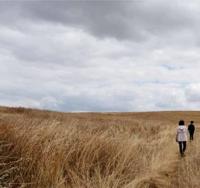 Os conflitos ambientais e as artes numa rede de Terra Batida