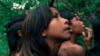 O cinema de Messora e Salaviza com o povo indígena Krahô: “uma mesa farta para todos”