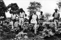 A problemática da erosão do solo em Amílcar Cabral – em defesa da terra