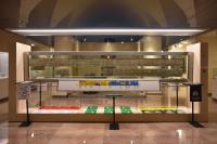 Etnologias e contentores cronológicos em fricção. Subverter os tempos no Museu da América 