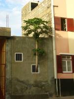 Cabo Verde não cabe nas ilhas, parte 1 