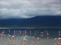 Aqui em Ngorongoro